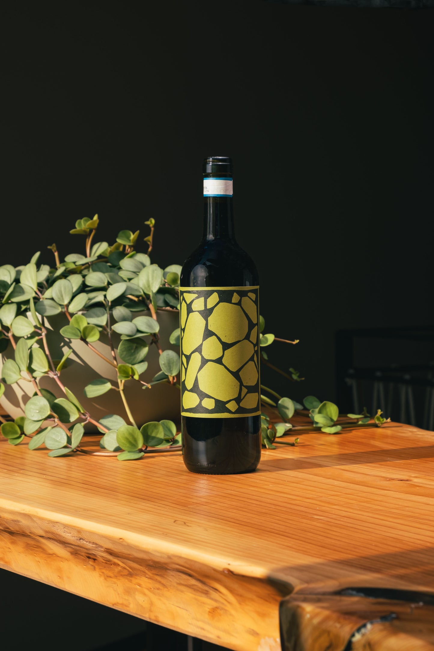 Langhe DOC Freisa 2021 - organic red wine