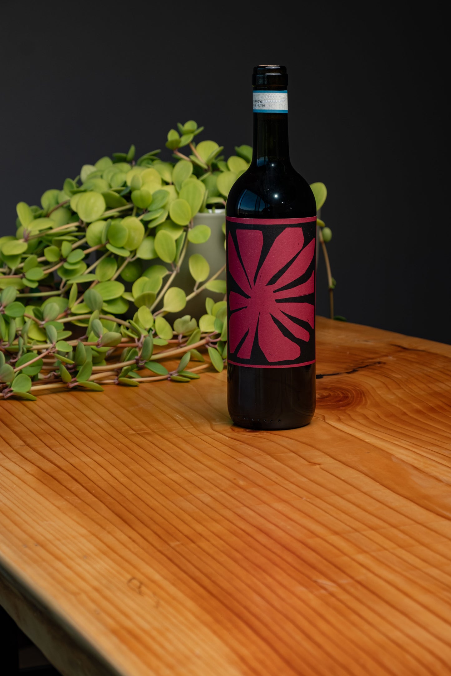 Langhe Nebbiolo 2023 Biologico